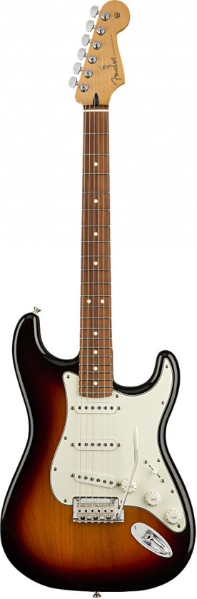 Fender Stratocaster® Player