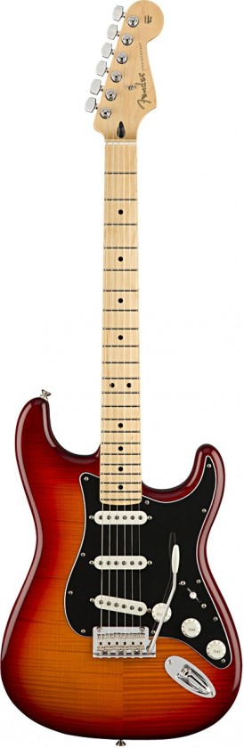 Fender Stratocaster® Plus Top Player