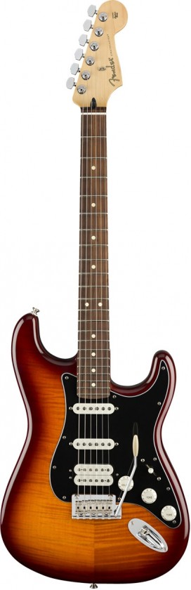 Fender Stratocaster® HSS Plus Top Player