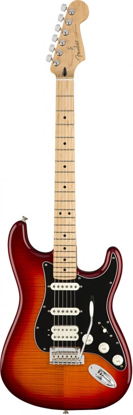 Fender Stratocaster® HSS Plus Top Player