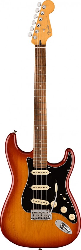 Fender Stratocaster® Player Plus